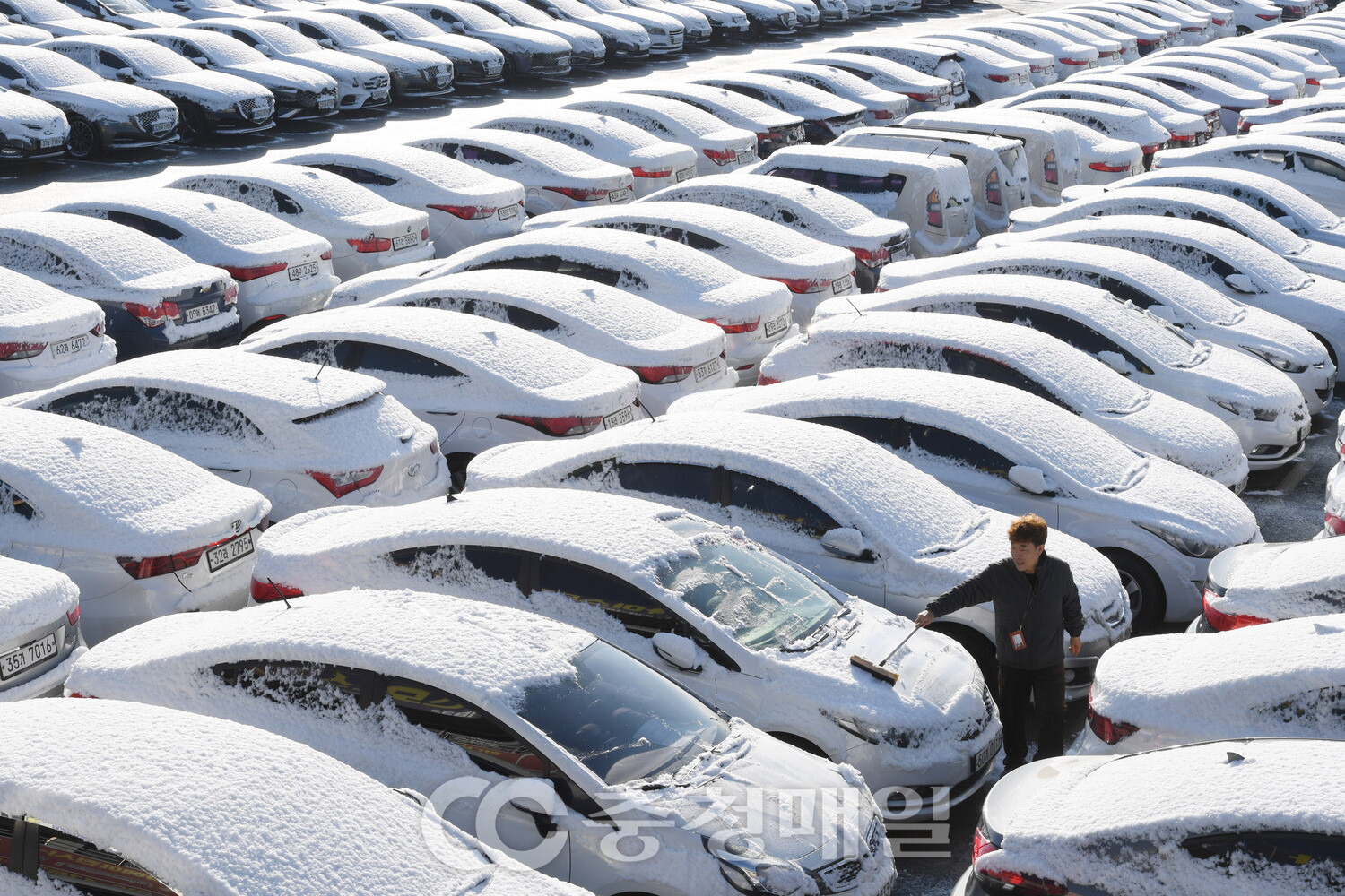 하얀 옷 입은 청주 중고차매매단지 차량들