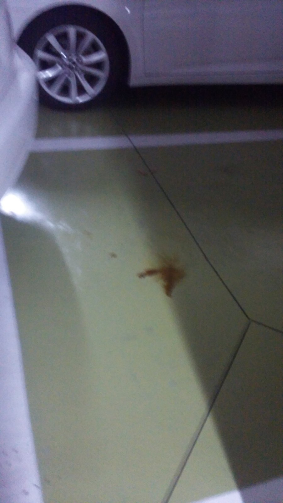 뽐뿌:자동차포럼 - 이게 엔진오일 누유인가요?이게 엔진오일 누유인가요?